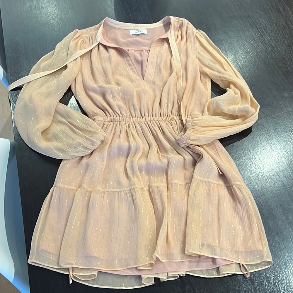Chic Peach Long Sleeve Dress